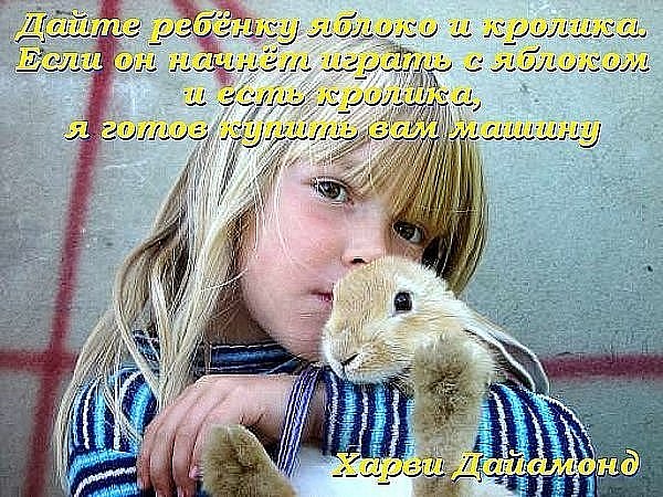 http://cs9459.vkontakte.ru/u6157311/100937947/x_2f759aab.jpg